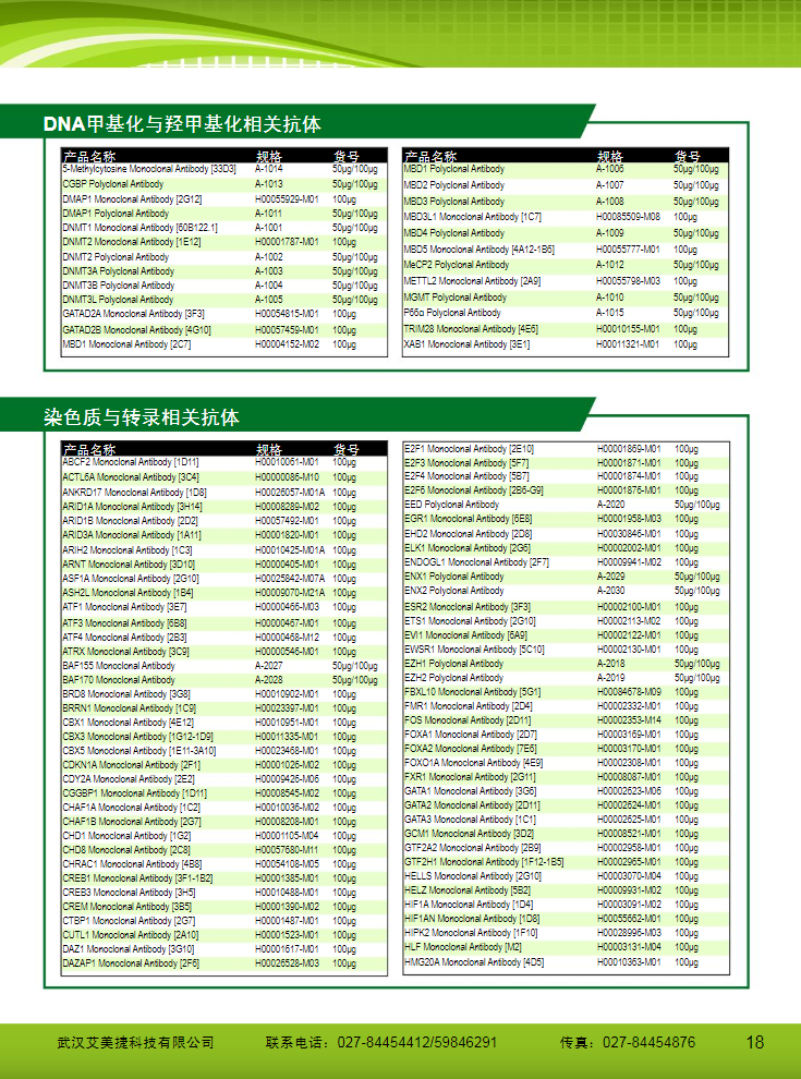 表觀遺傳研究方案產(chǎn)品折頁