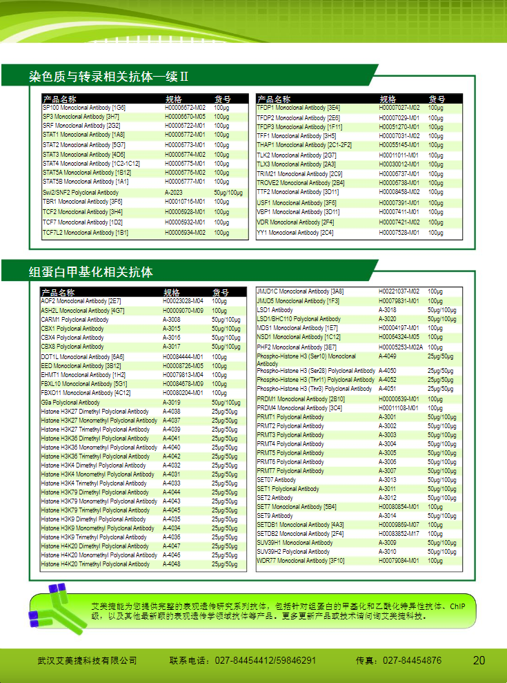 表觀遺傳研究方案產(chǎn)品折頁