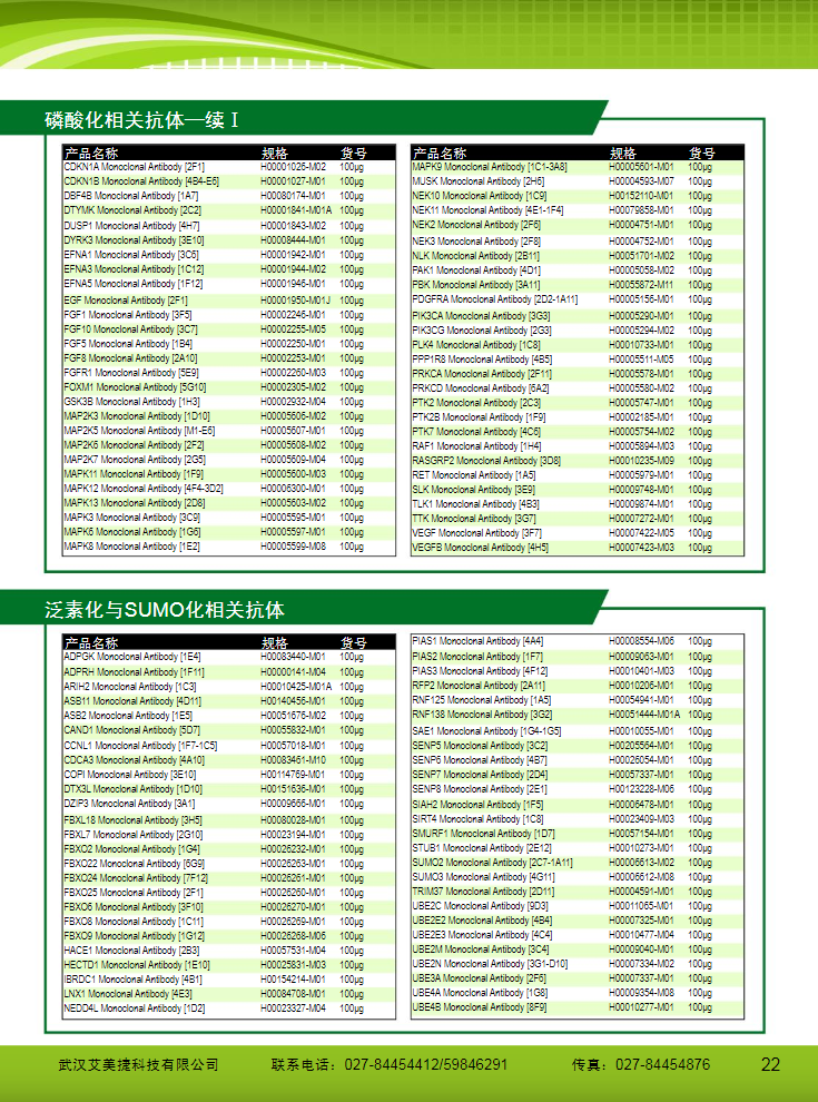 表觀遺傳研究方案產(chǎn)品折頁
