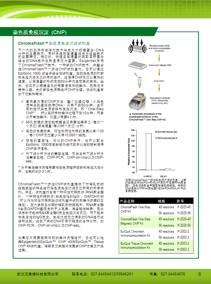 表觀遺傳研究方案產(chǎn)品折頁