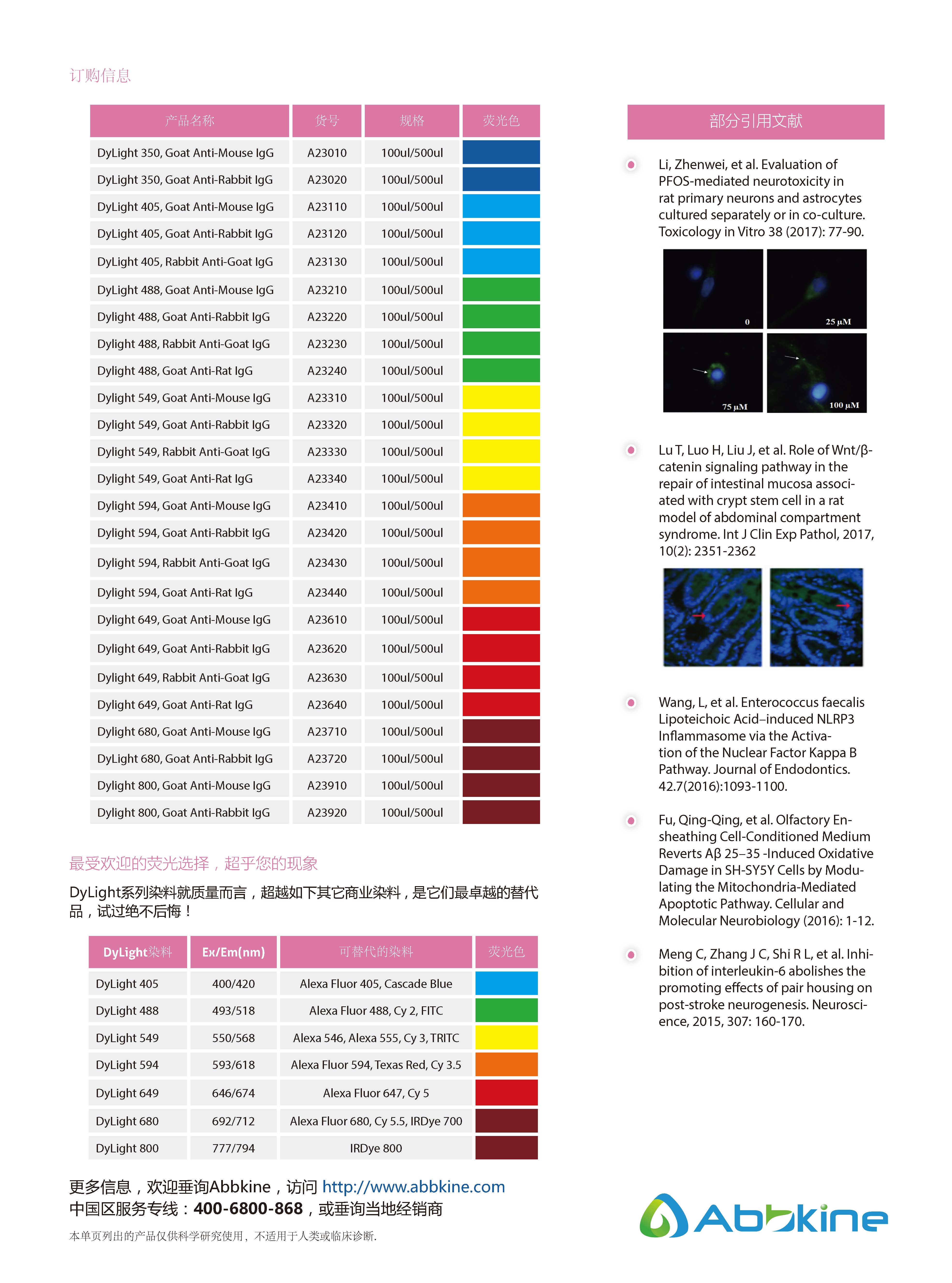 DyLight 系列熒光二抗-產(chǎn)品手冊