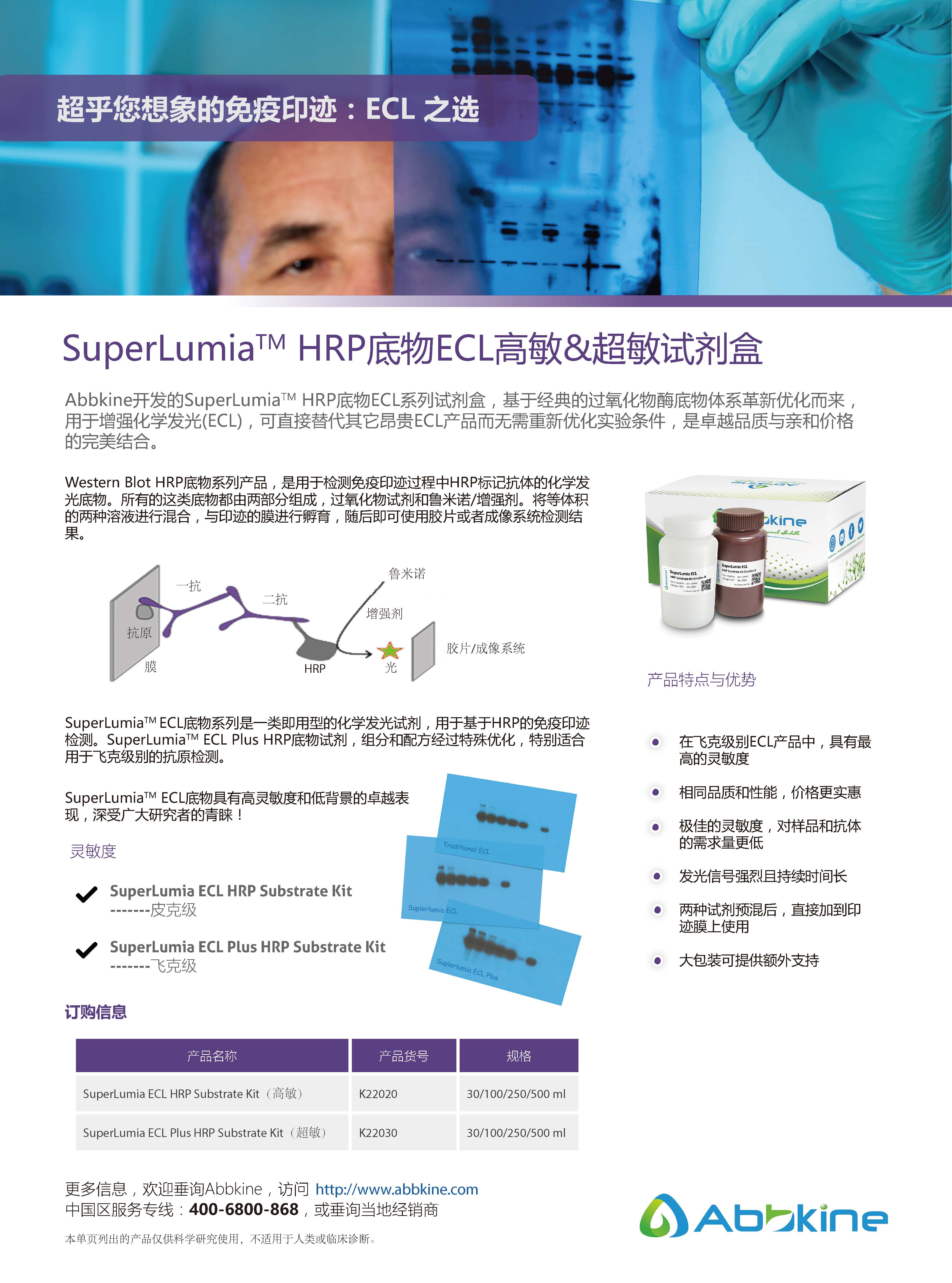 SuperLumia HRP底物ECL高敏&超敏試劑盒-產(chǎn)品手冊(cè)