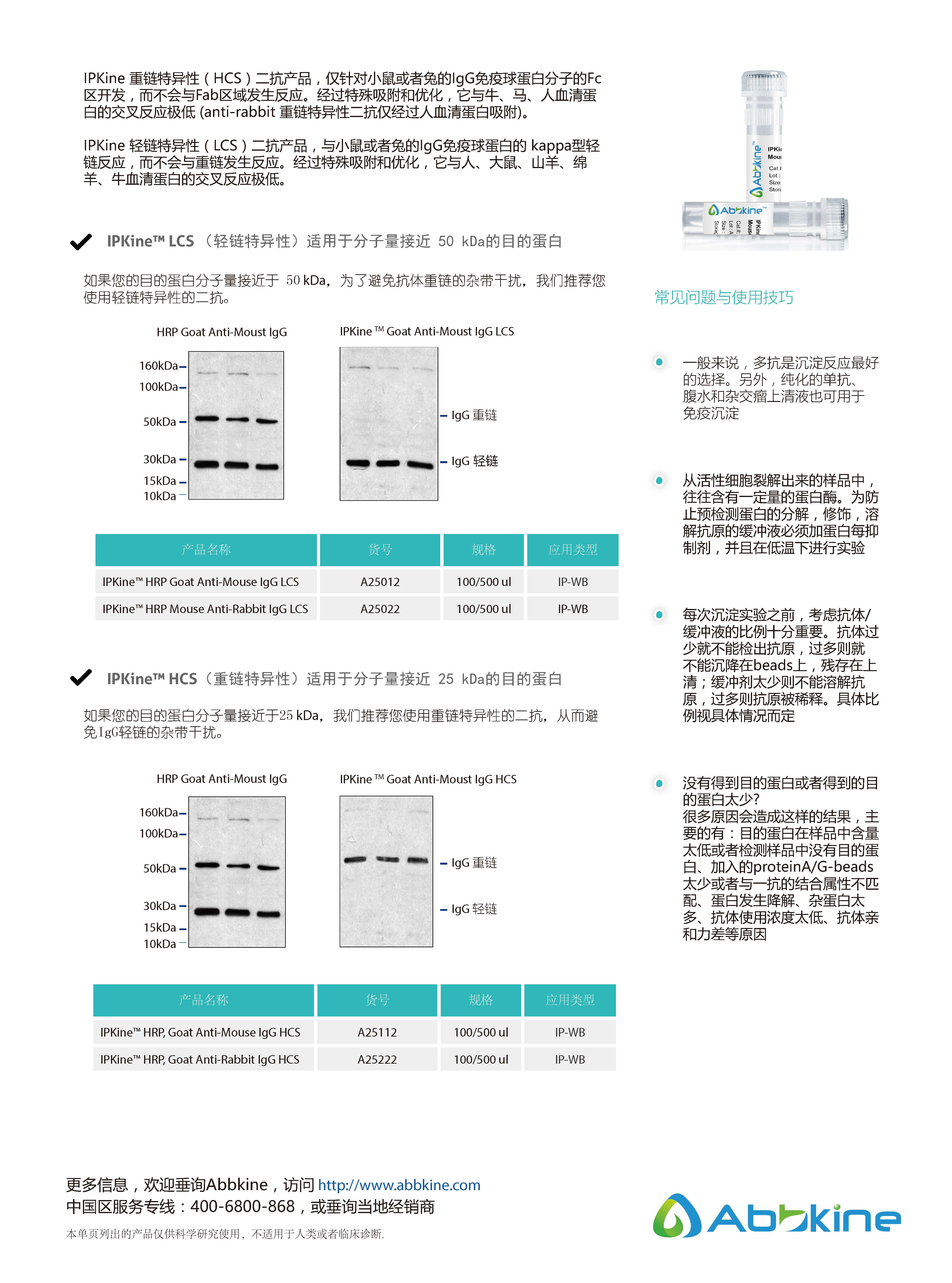 免疫沉淀驗(yàn)證專用二抗：IPKine&trade; 系列二抗-產(chǎn)品手冊(cè)