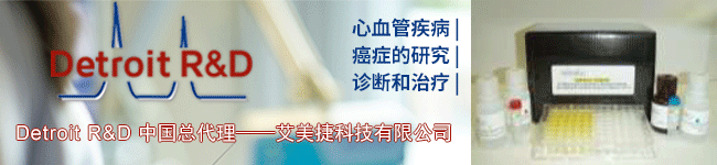 Detroit R&D代理