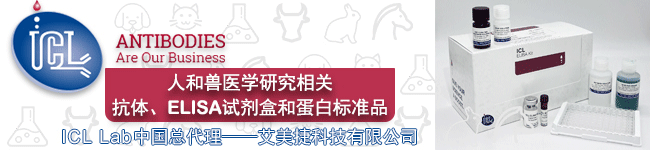 ICL Lab代理