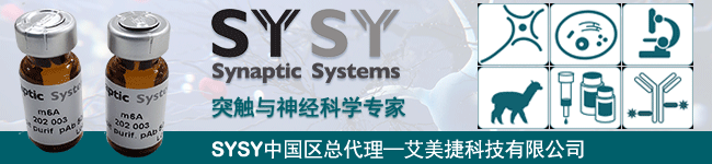 SYSY-banner-新聞稿.gif
